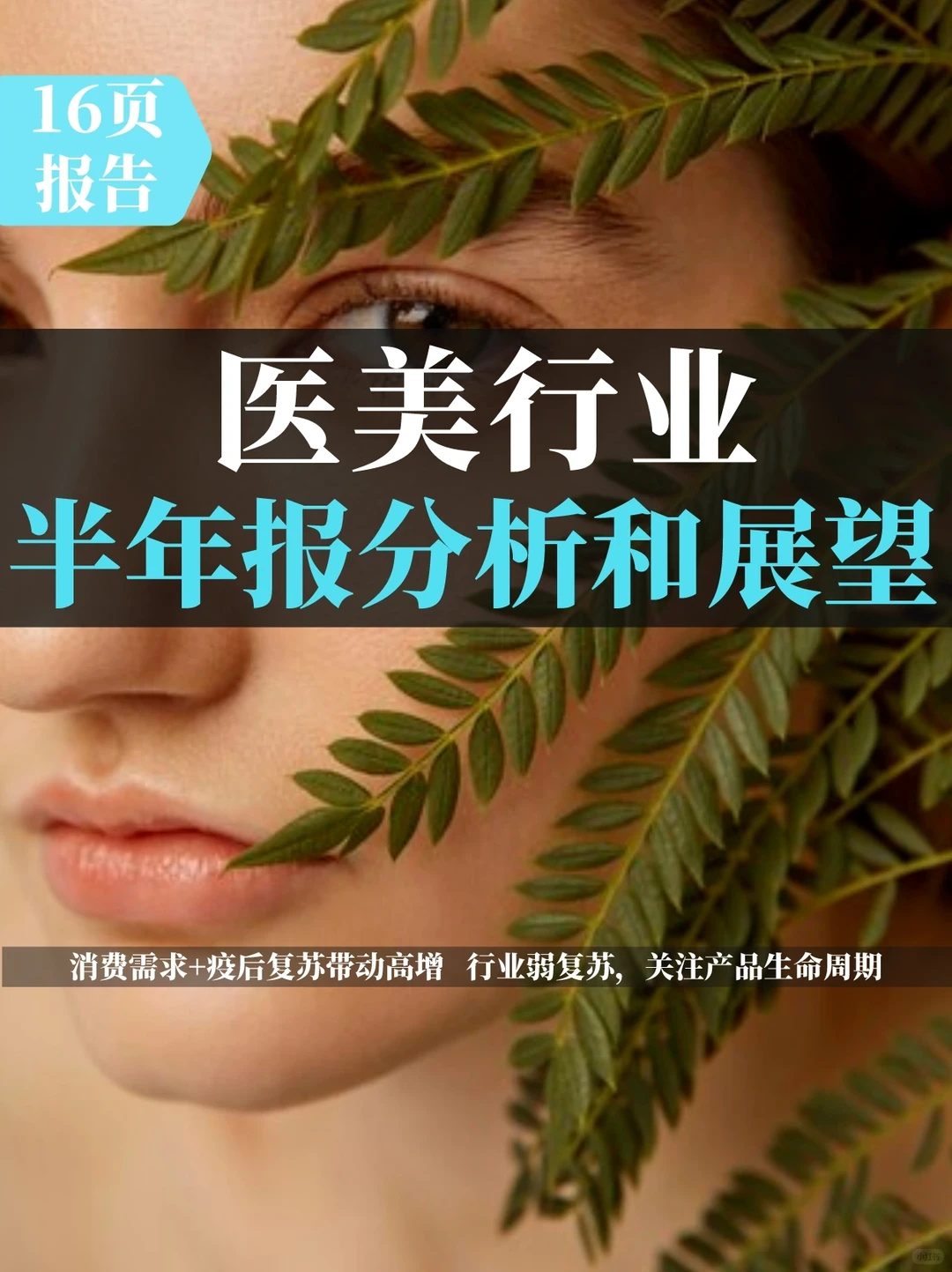 医美行业2023半年报分析和展望