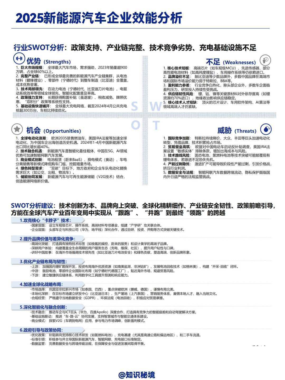 2025新能源汽车标杆企业效能分析