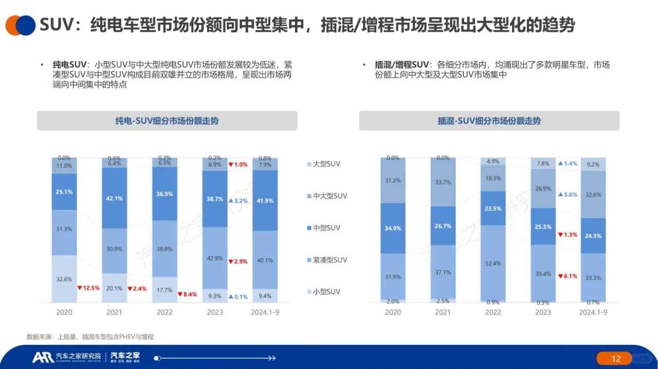 中国新能源汽车用车报告(2024 年)