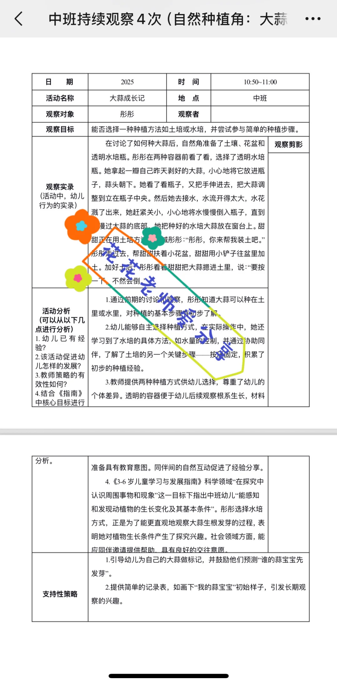 中班（观察大蒜）持续四次观察记录！！