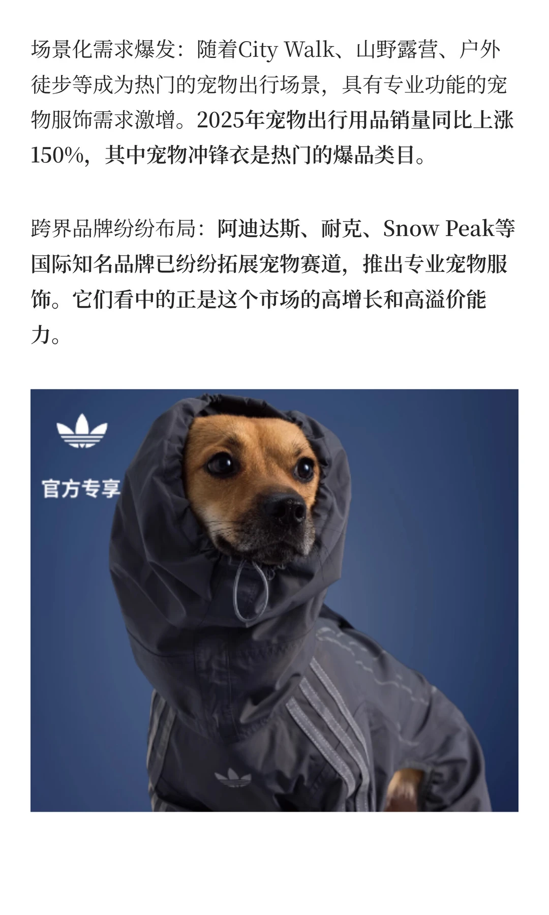 宠物品牌主理人，不要做单价9.9的宠物服饰