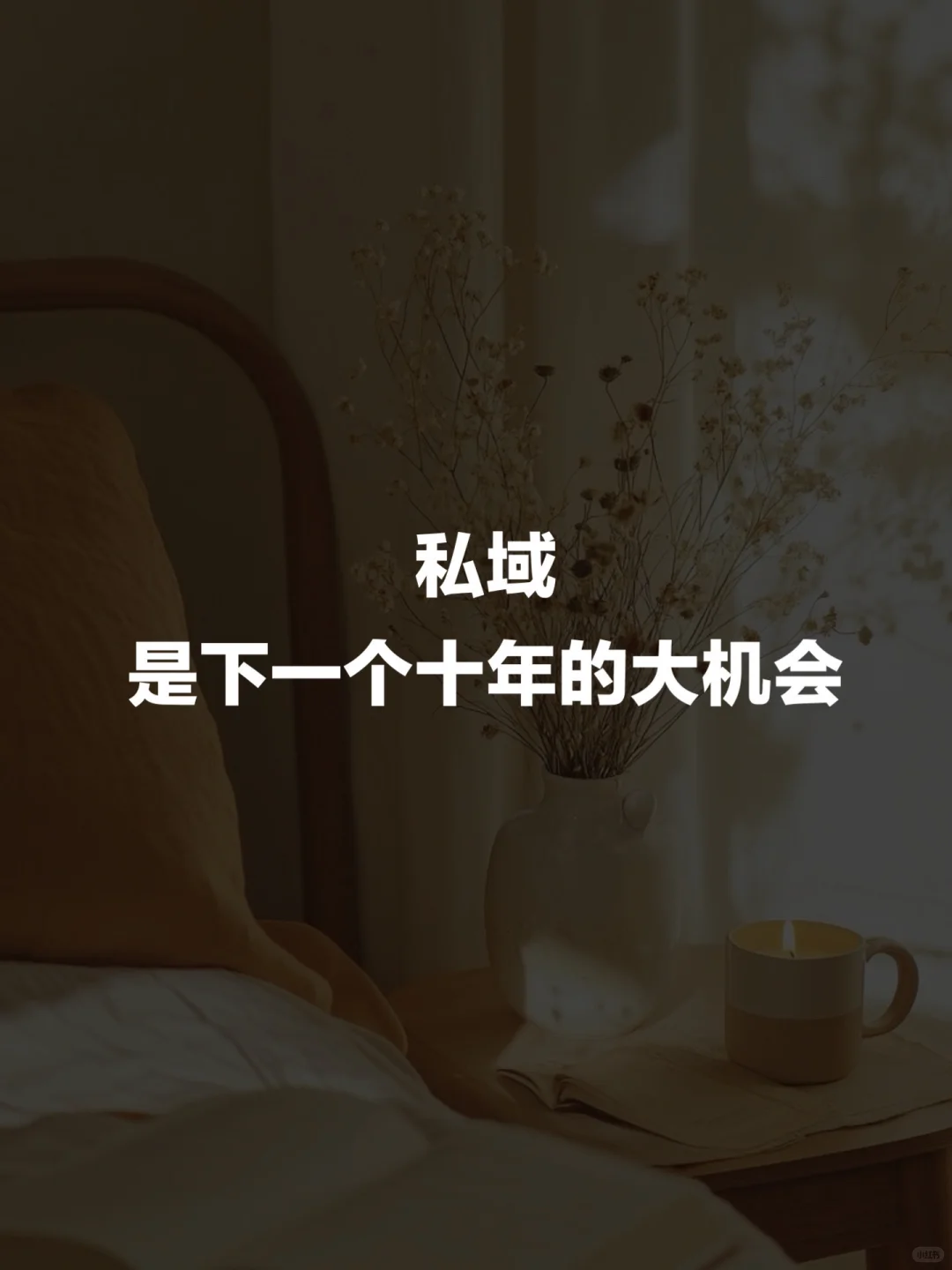 私域是下一个十年的大机会!