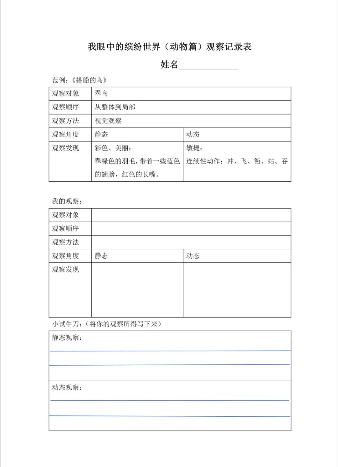 三上习作单元，一起来观察