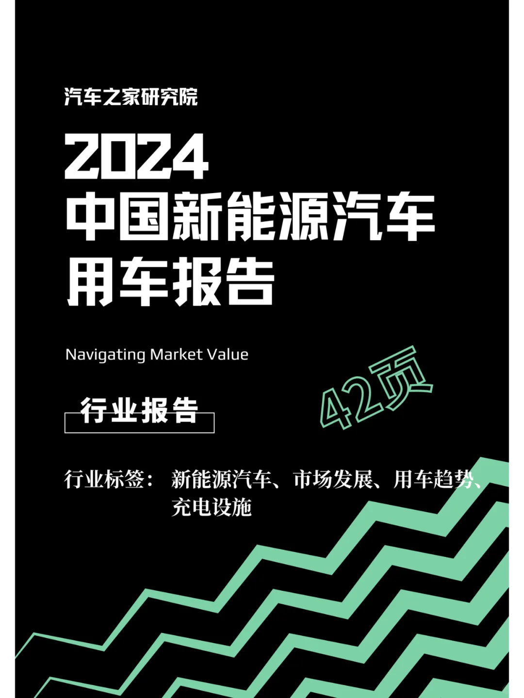 中国新能源汽车用车报告(2024 年)