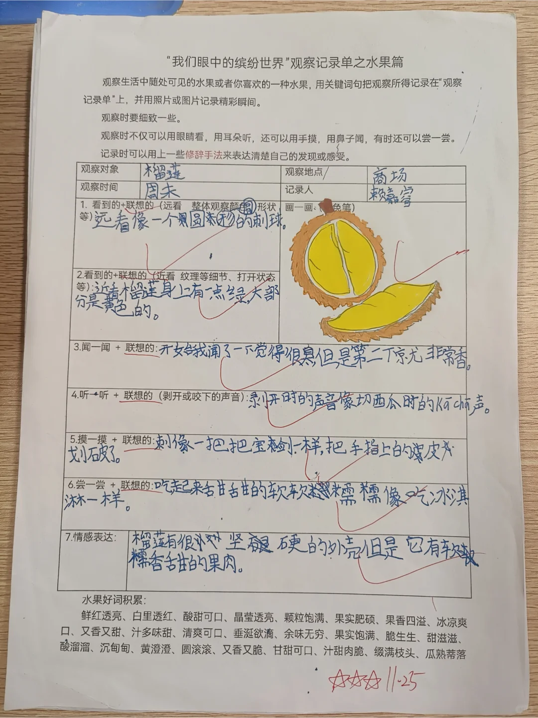 《我眼中的缤纷世界》观察单水果篇