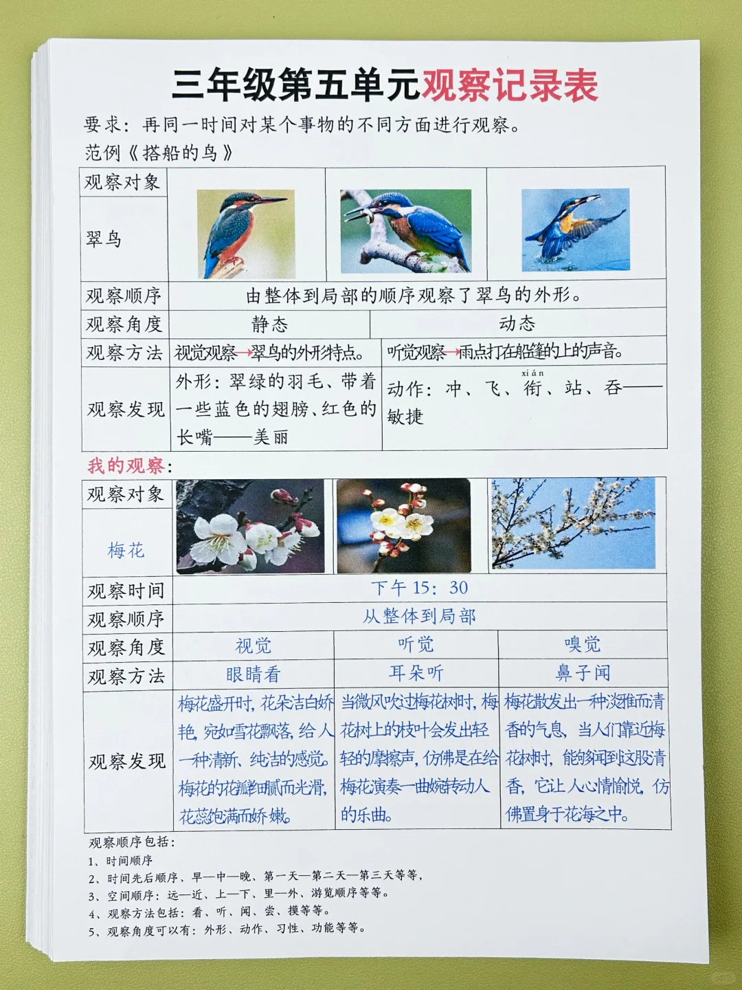 家长问爆的三年级第五单元观察记录表‼️