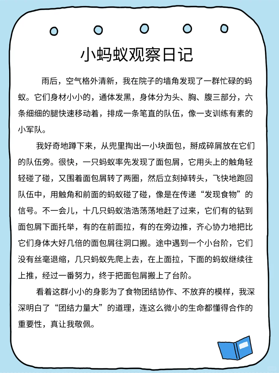 四年级上册语文第三单元《观察日记》