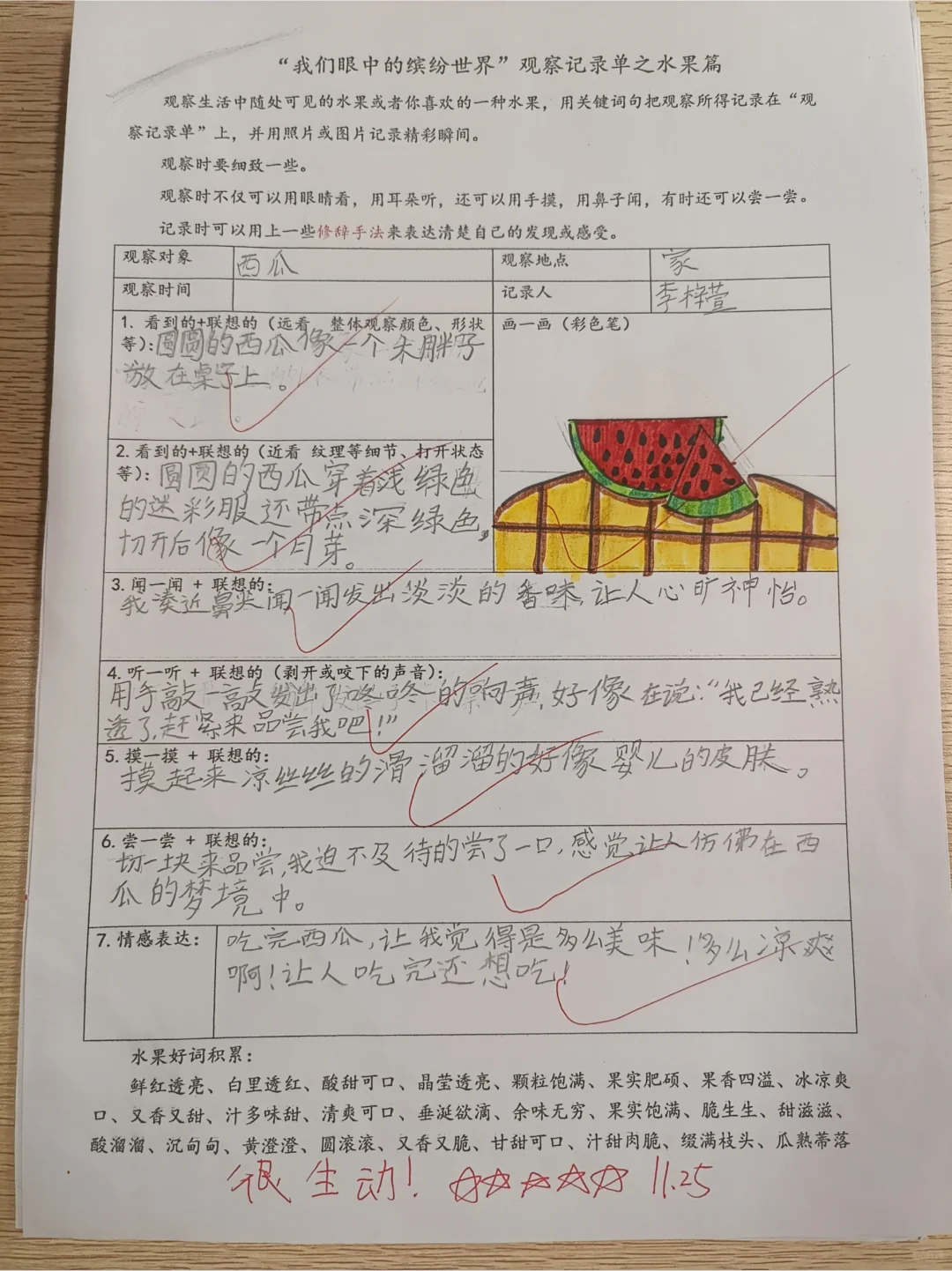 《我眼中的缤纷世界》观察单水果篇