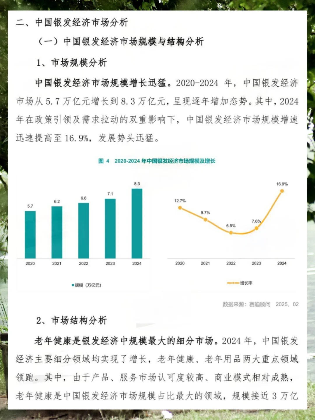 2025年银发经济发展研究报告
