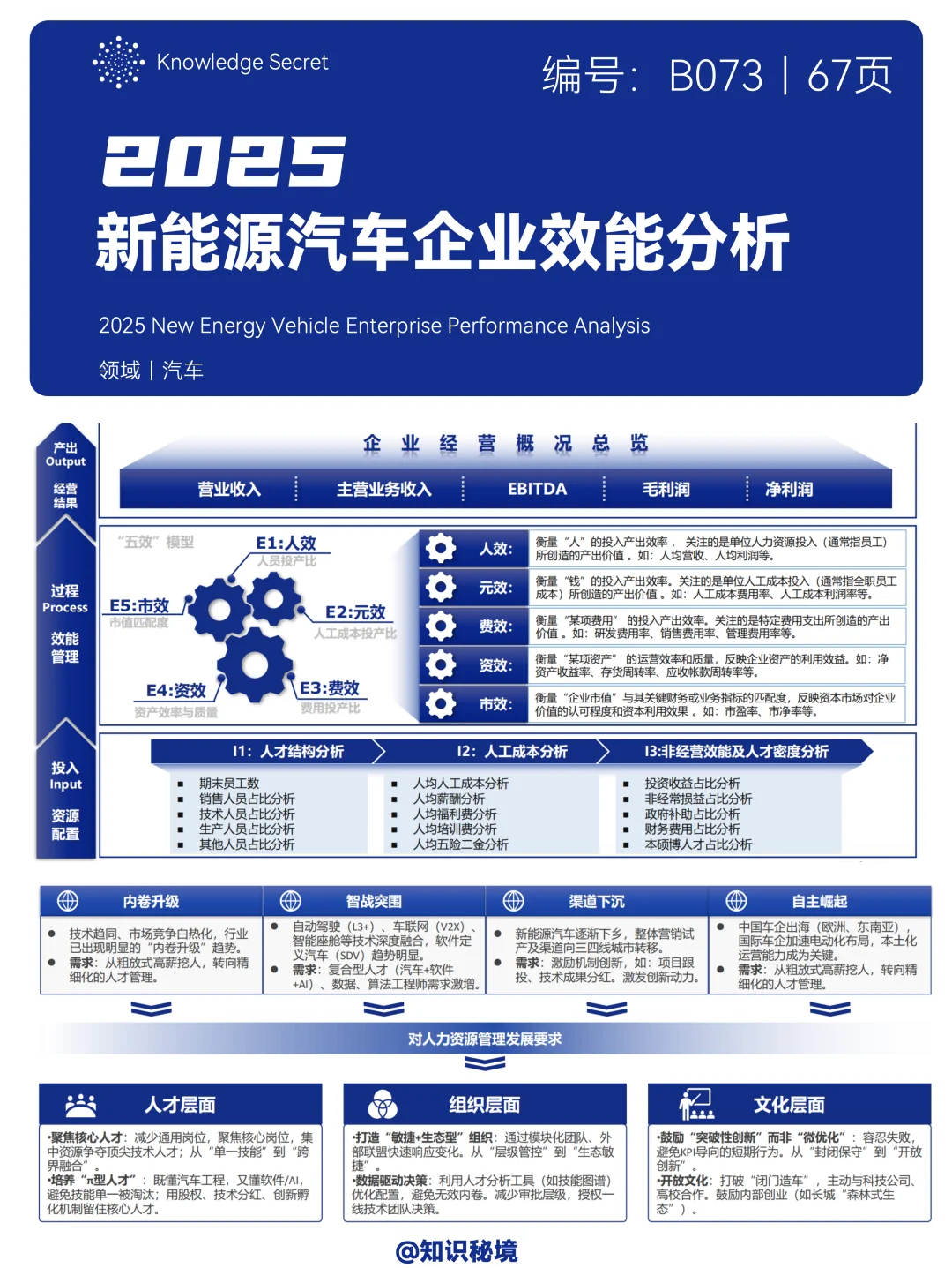 2025新能源汽车标杆企业效能分析