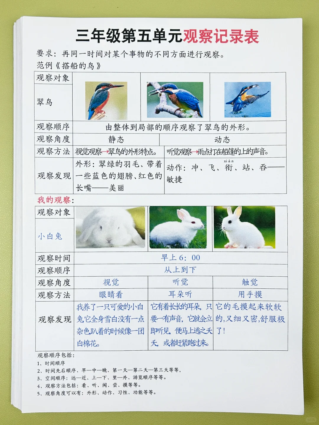 家长问爆的三年级第五单元观察记录表‼️