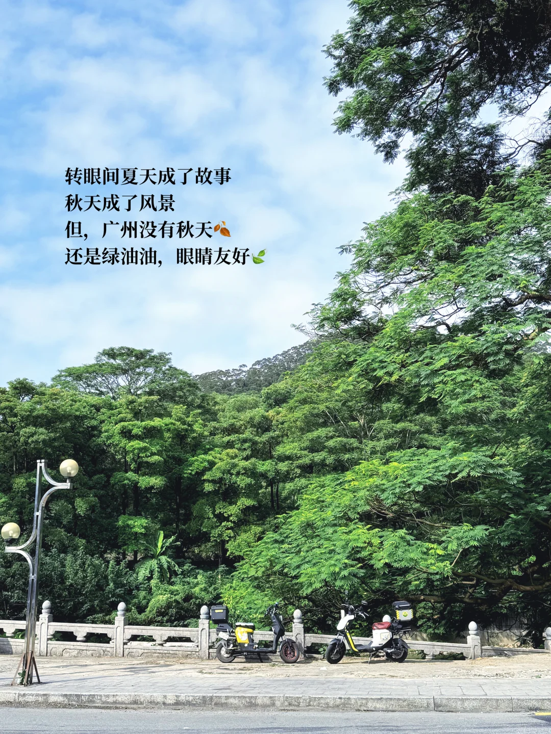 0经验转行3次,我都做了什么?面试通过率?