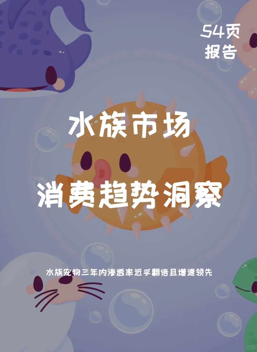54页报告 | 2025年水族市场消费趋势洞察