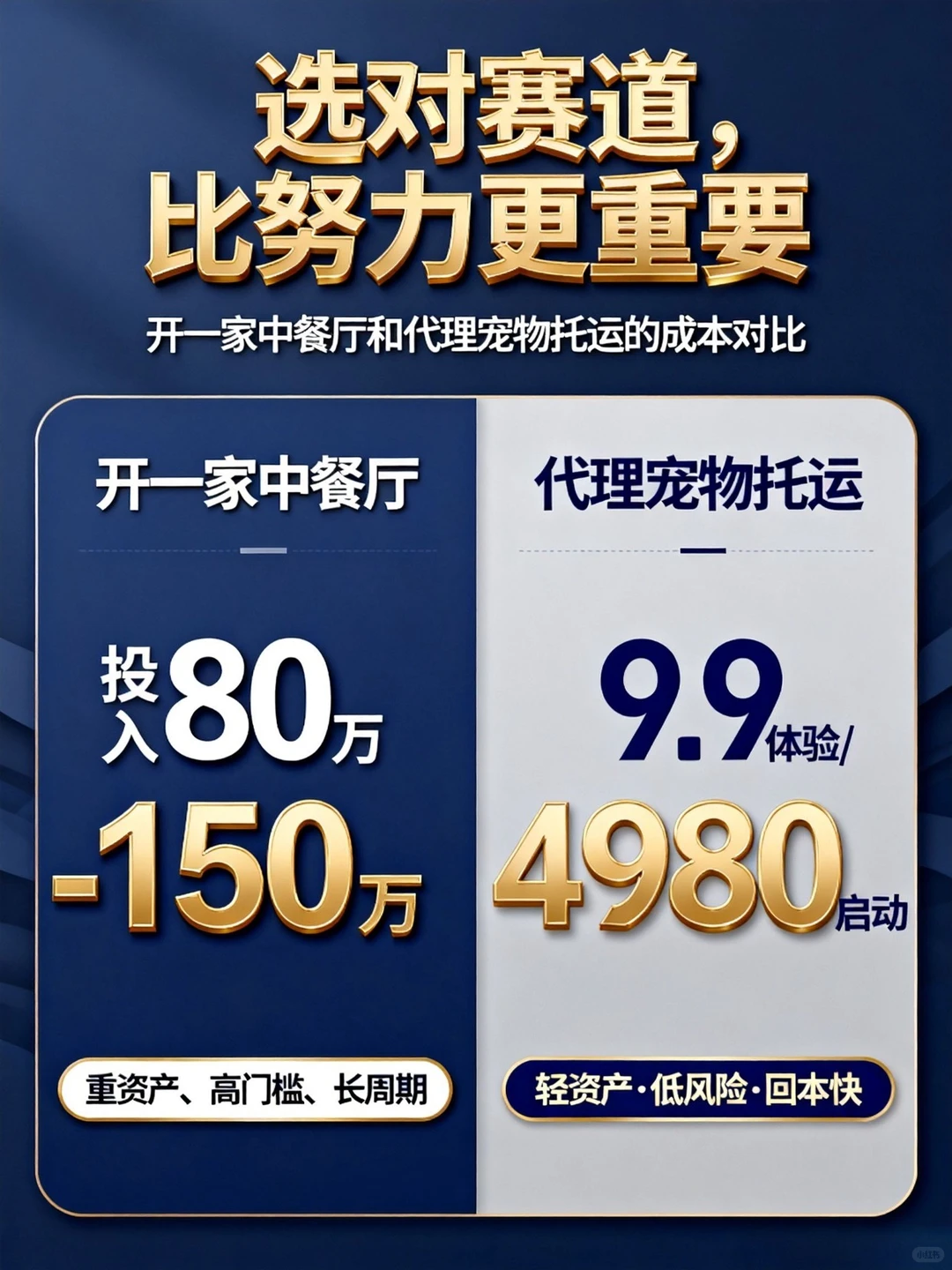 2026年，普通人大胆去做宠物托运，普通人的财