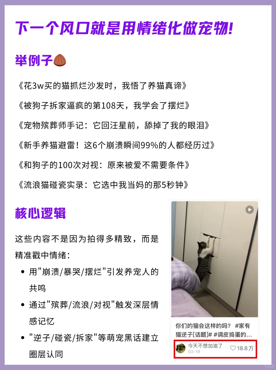 下一个风口就是用情绪化做宠物号?