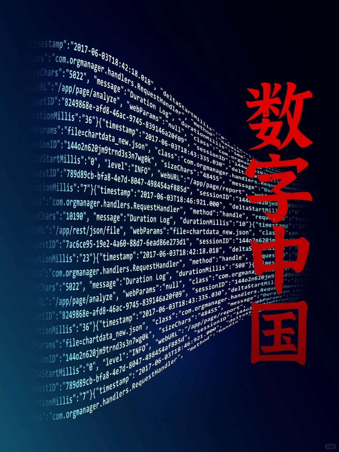加快数字化发展，建设数字中国