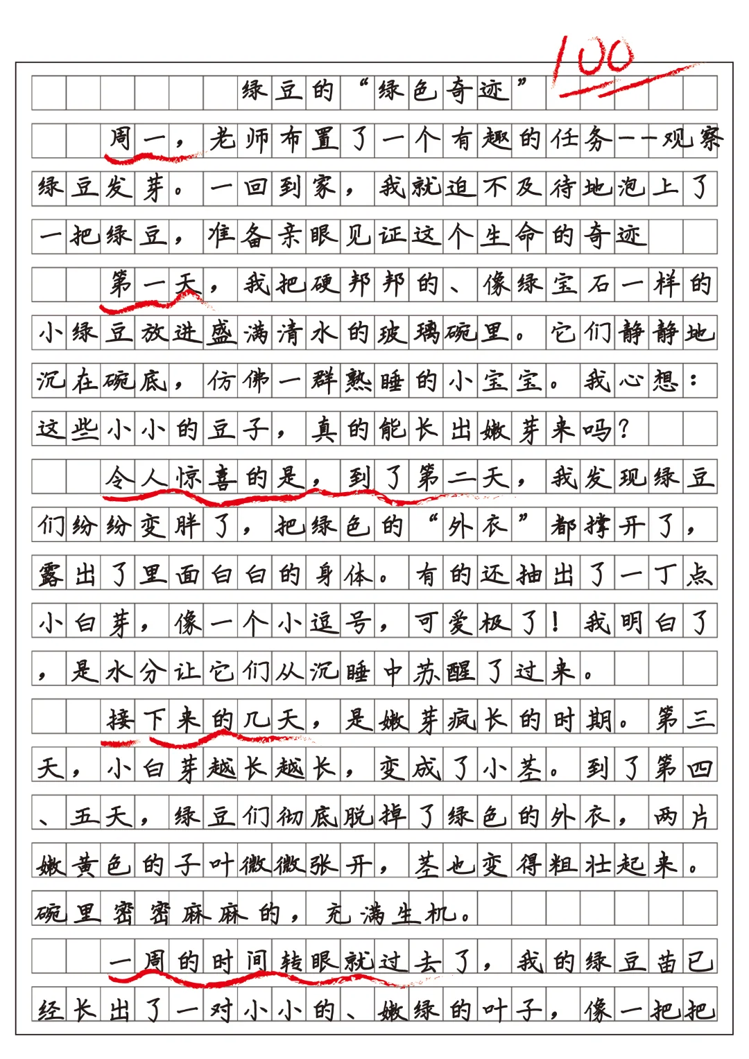 四上习作三观察日记范文