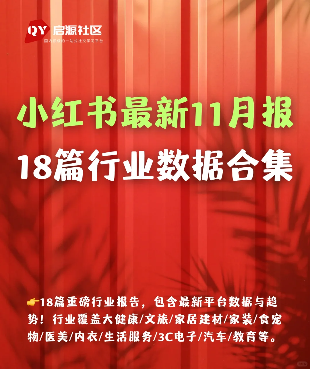 重磅合集:小红书18个行业洞察月报-11月