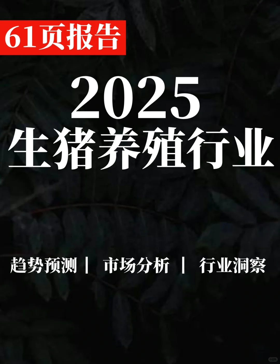 61页报告|2025生猪养殖行业深度报告