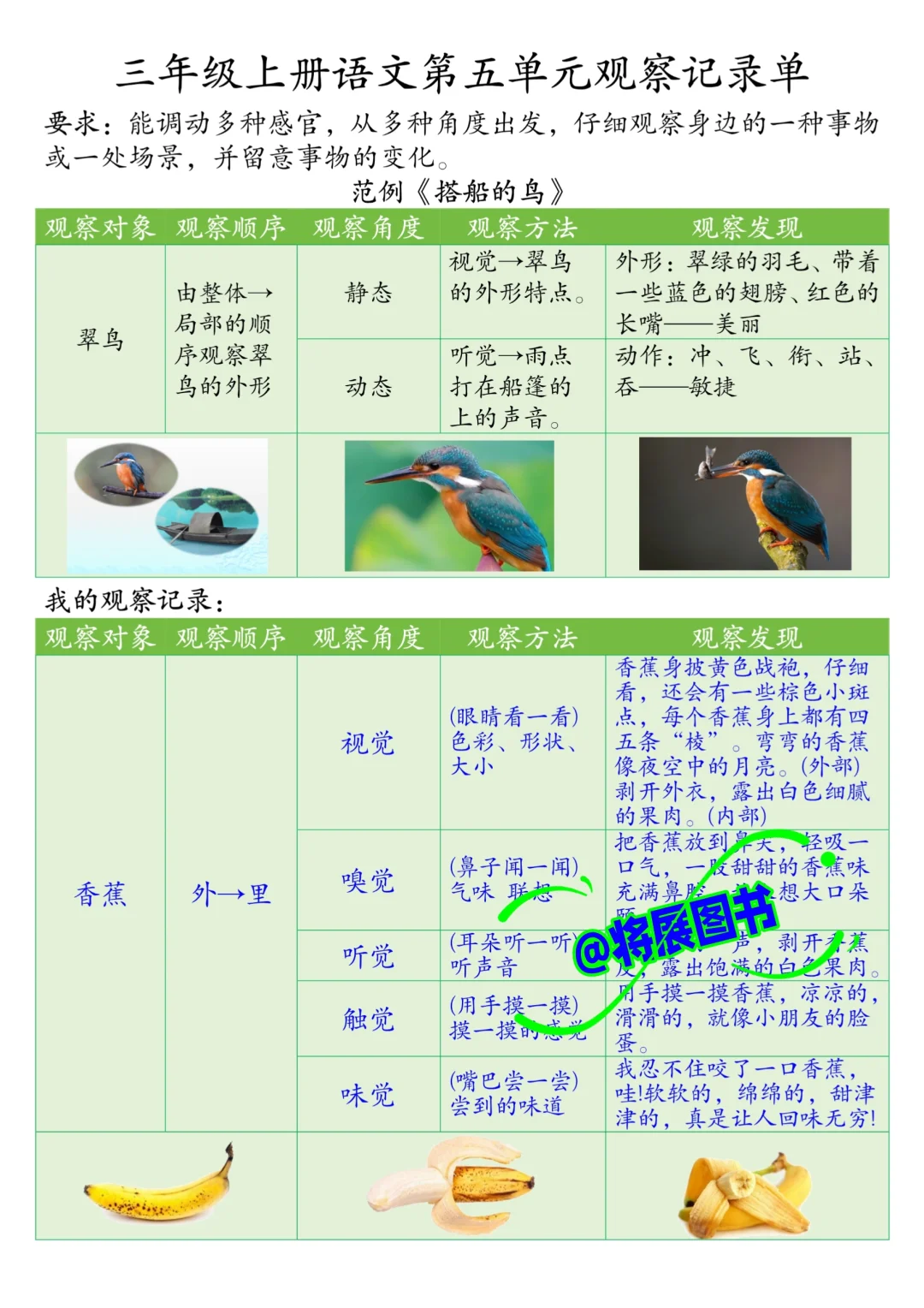 被问爆❗️三年级上册语文第五单元观察记录