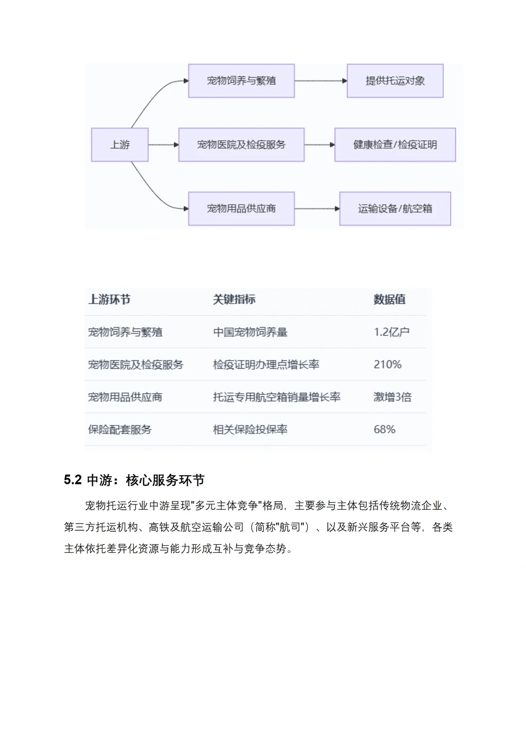 宠物托运商业计划书Word+ppt