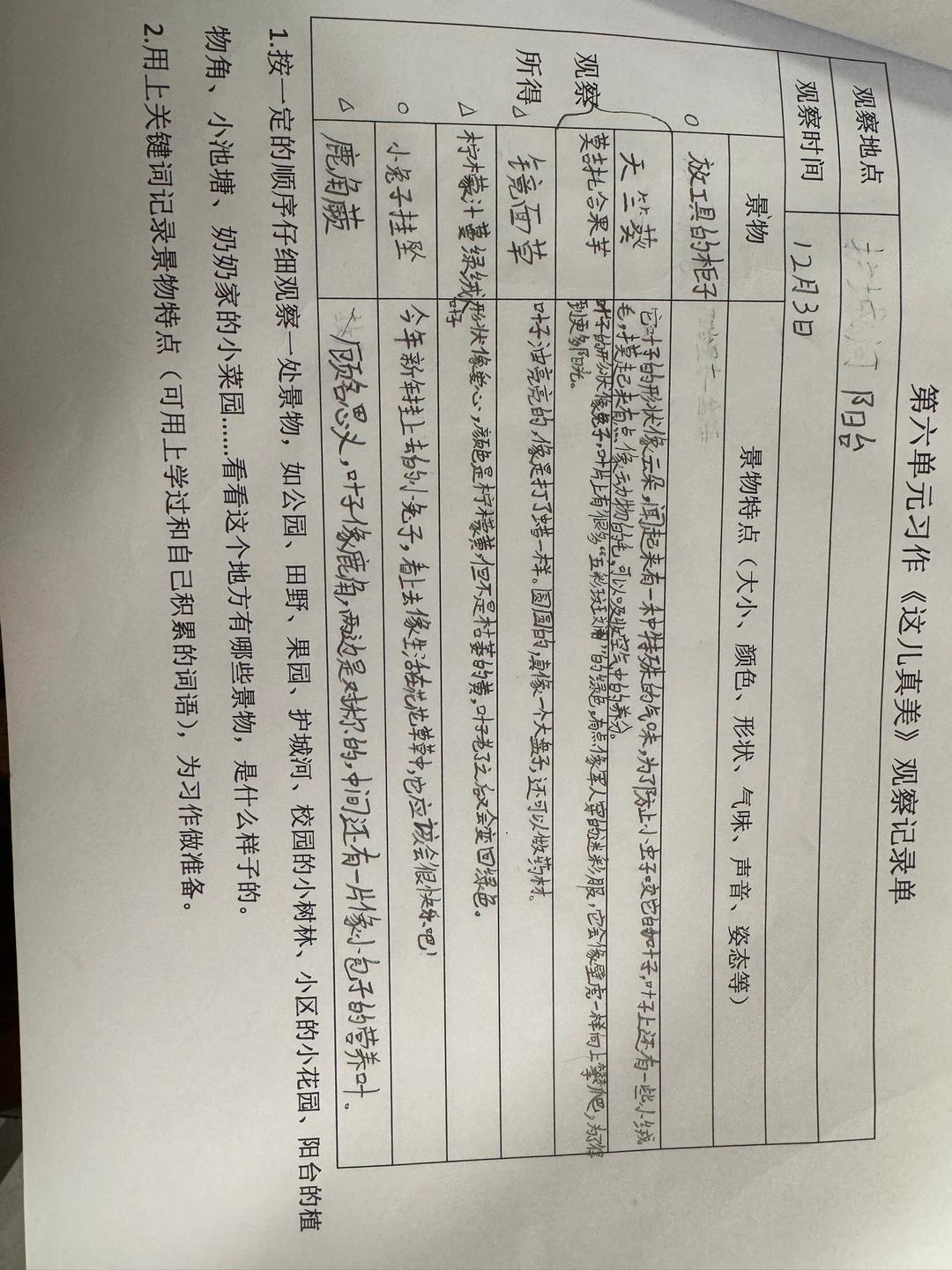 三上第六单元习作