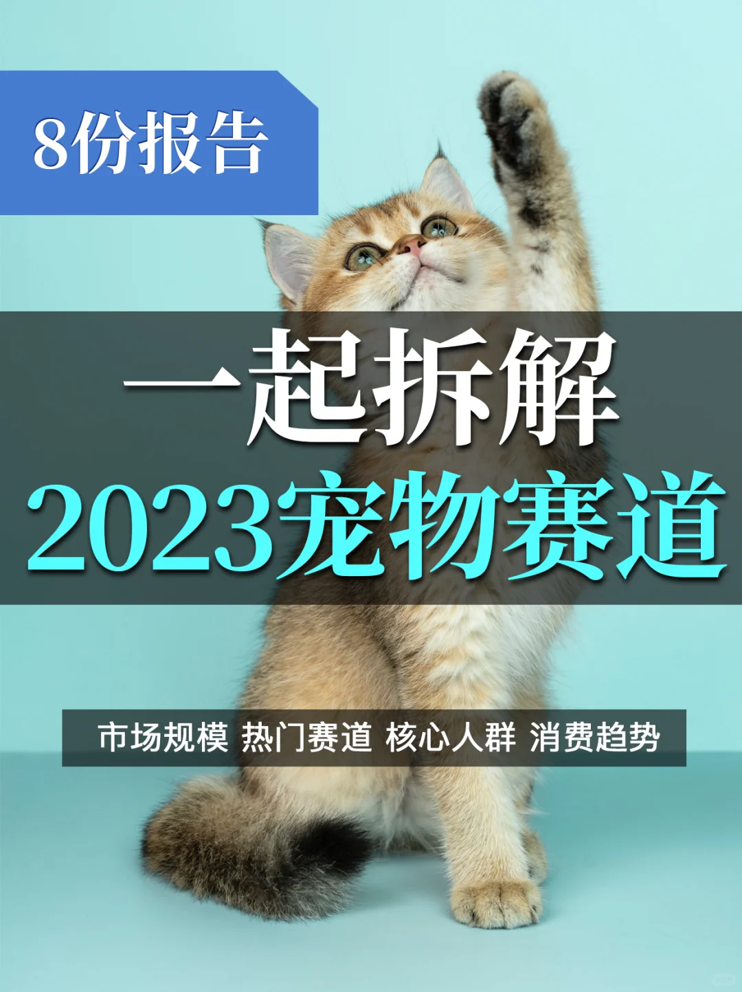 8⃣️份报告拆解2023宠物赛道:弯道超车新机遇