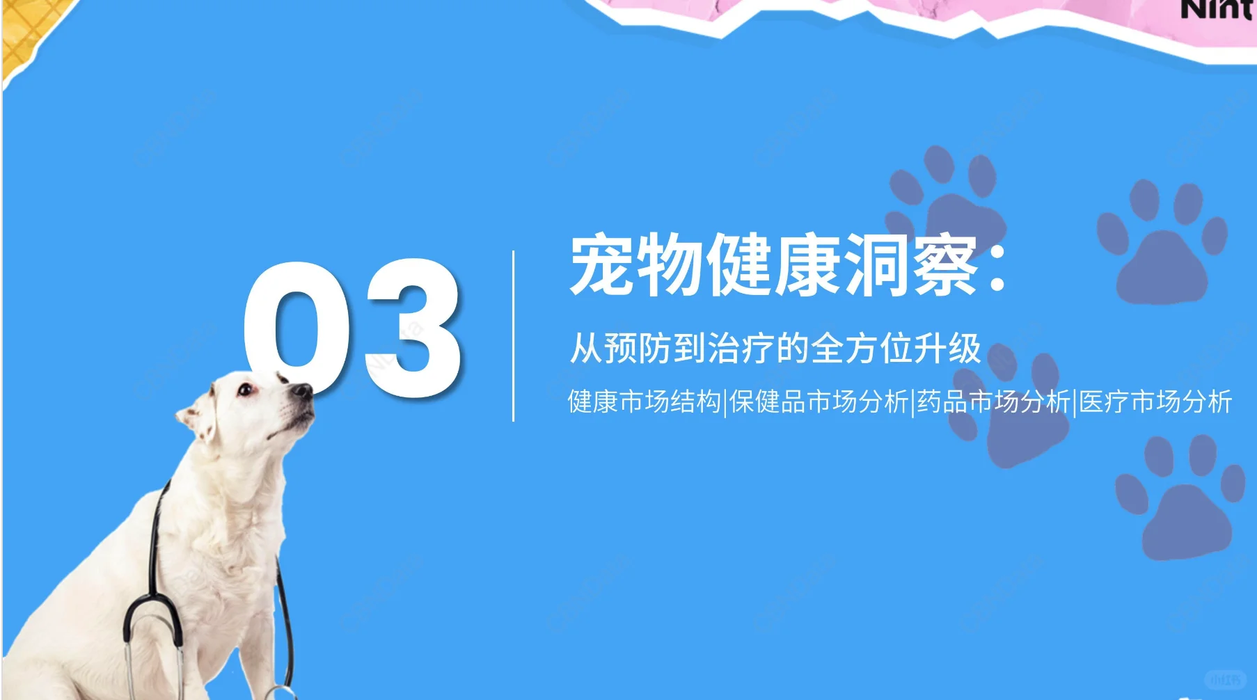 2025宠物电商行业报告-1