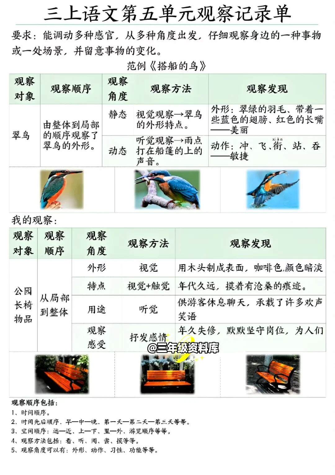 三年级语文上册?【观察记录单】