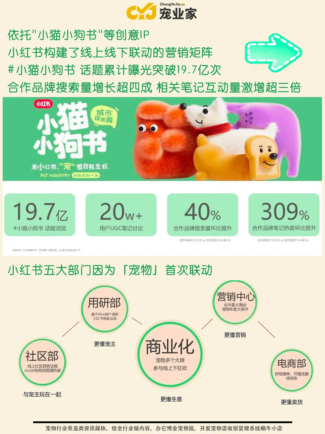行业报告|小红书双11宠物行业品牌营销机会