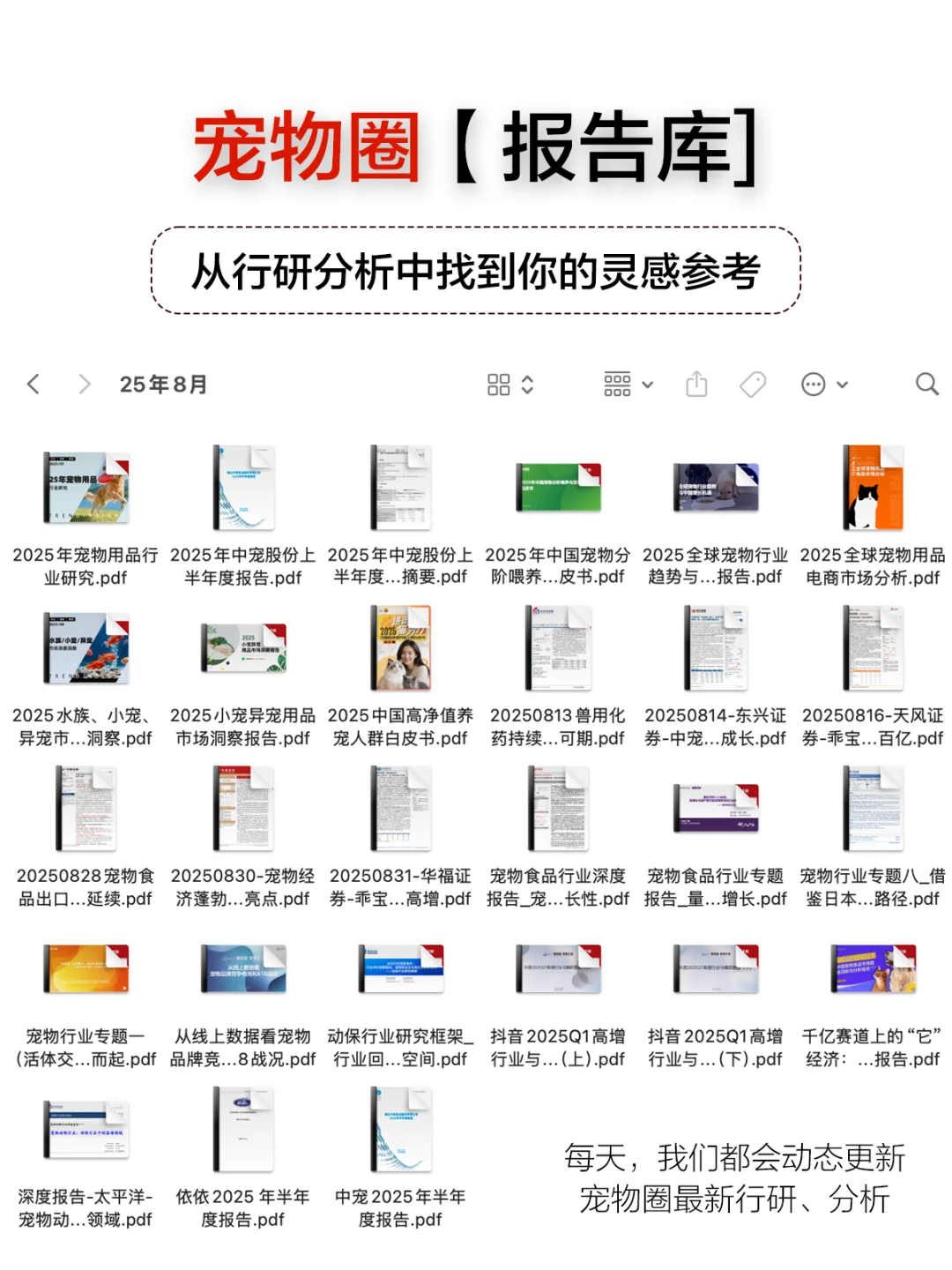 双十一越冷清，宠物赛道越热？