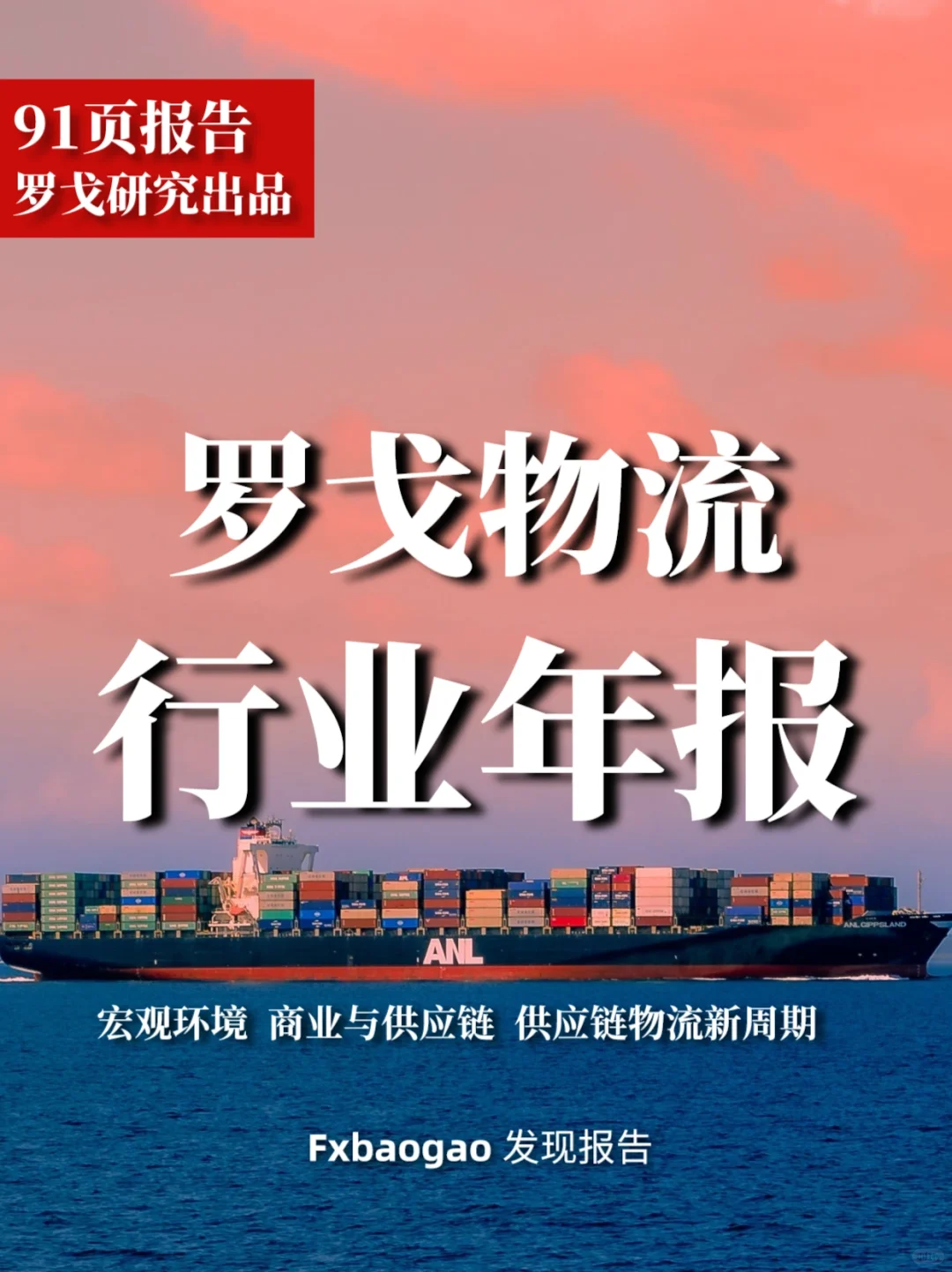 91页报告|2022-2023罗格物流行业年报(简)