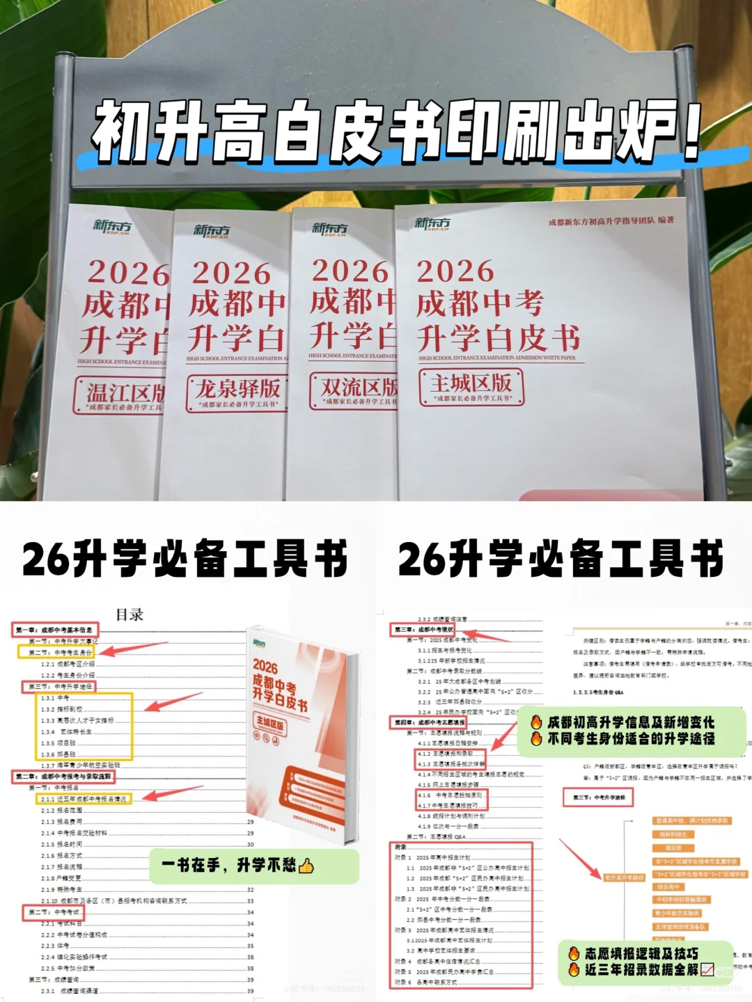 2026中考白皮书，全文分享