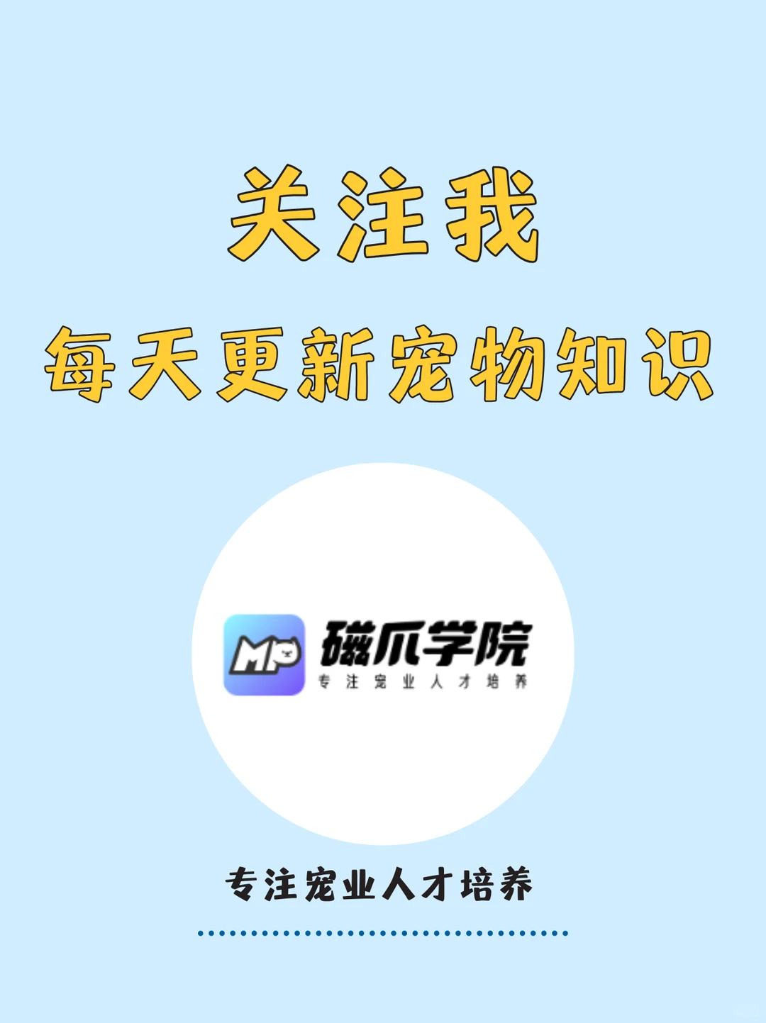 ?爆发!中国人一年花超3000亿养宠!
