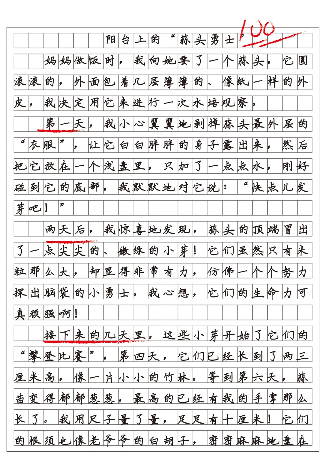 四上习作三观察日记范文