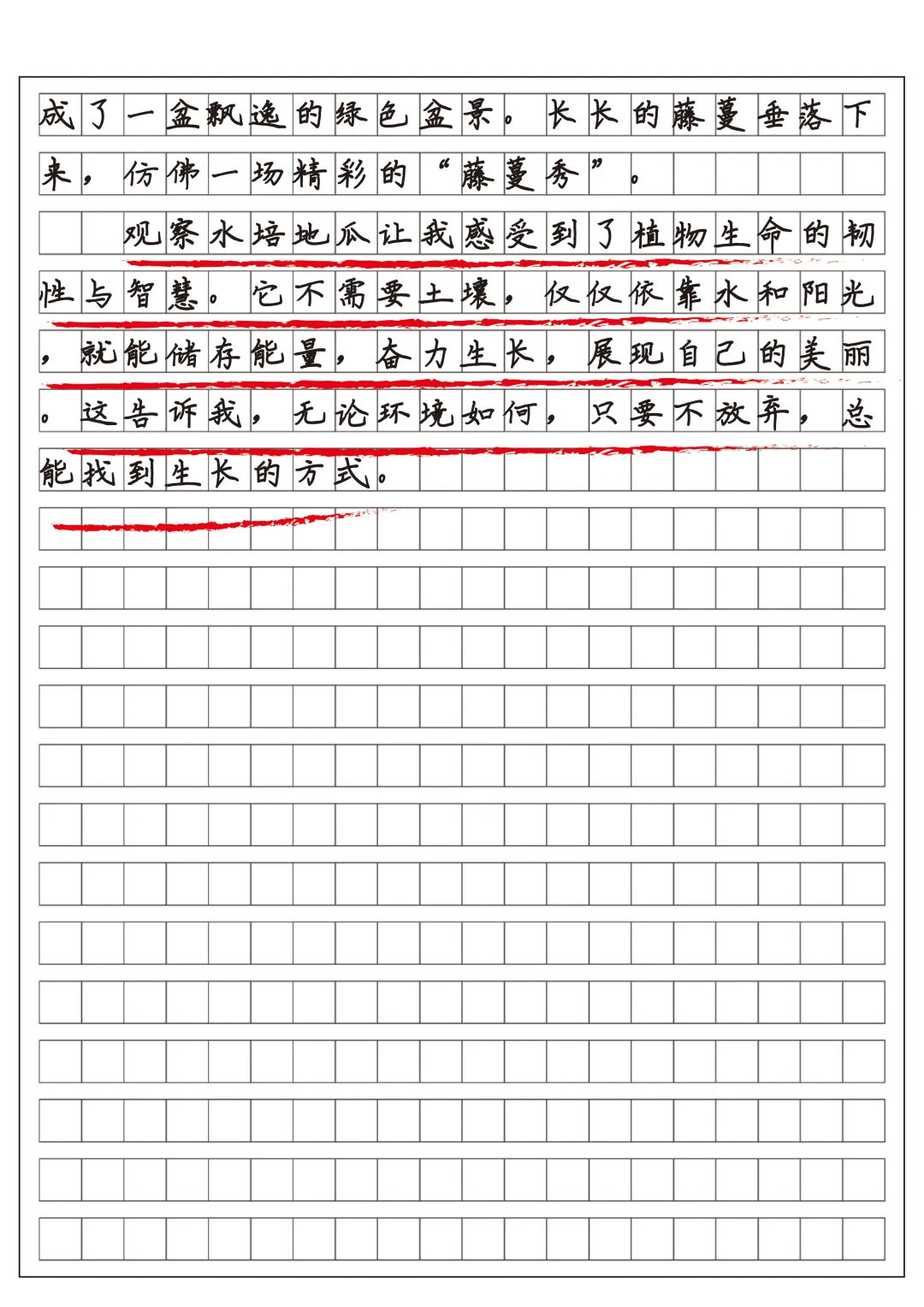 四上习作三观察日记范文