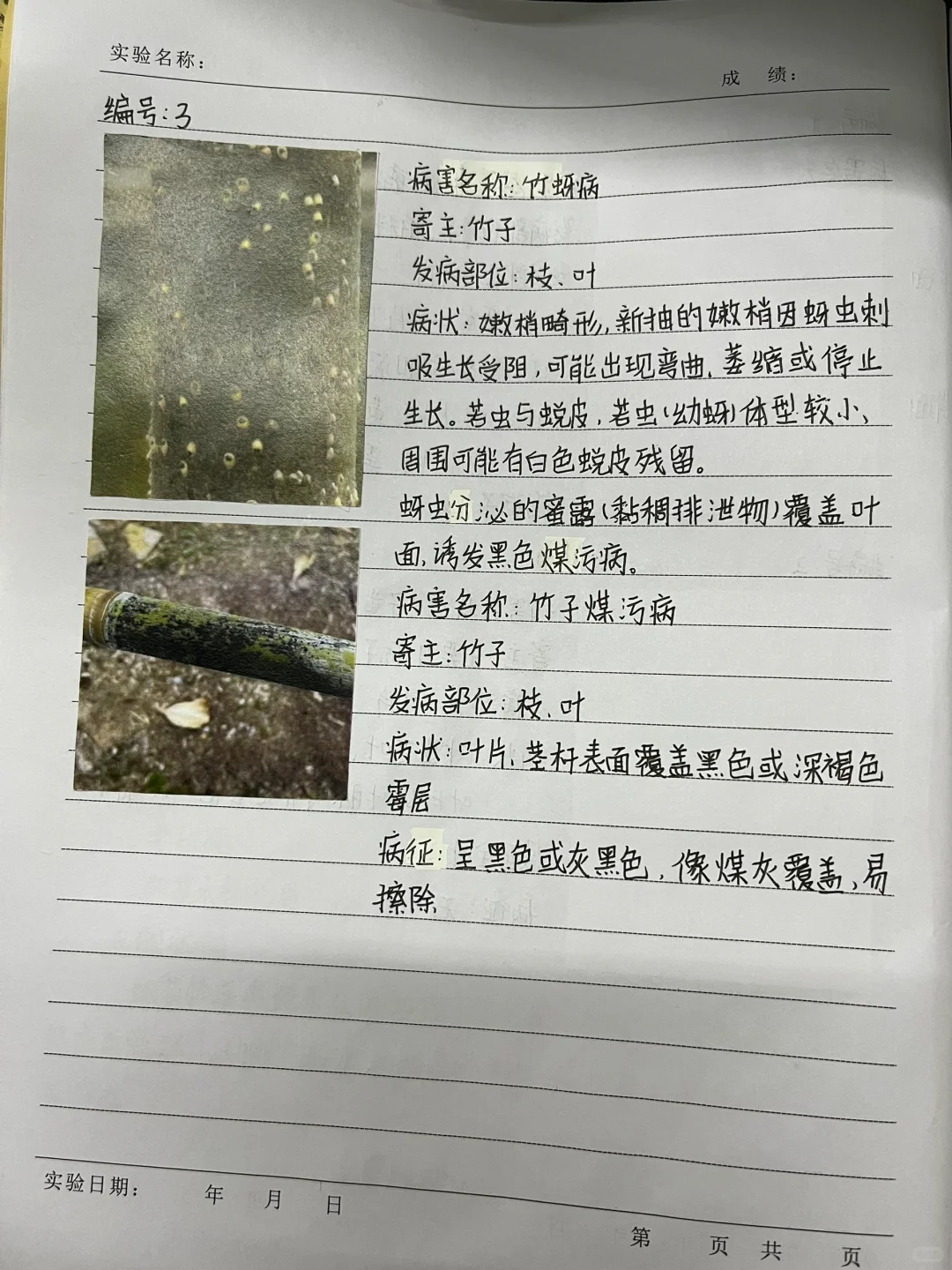 植物病害的症状观察
