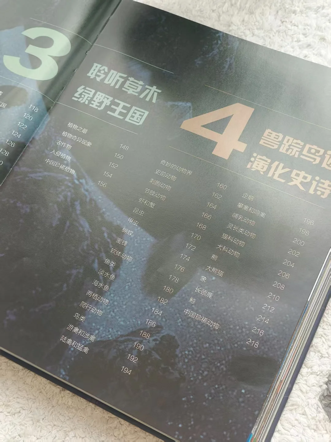 11月新书开箱|双十一最惊喜的“大书”?