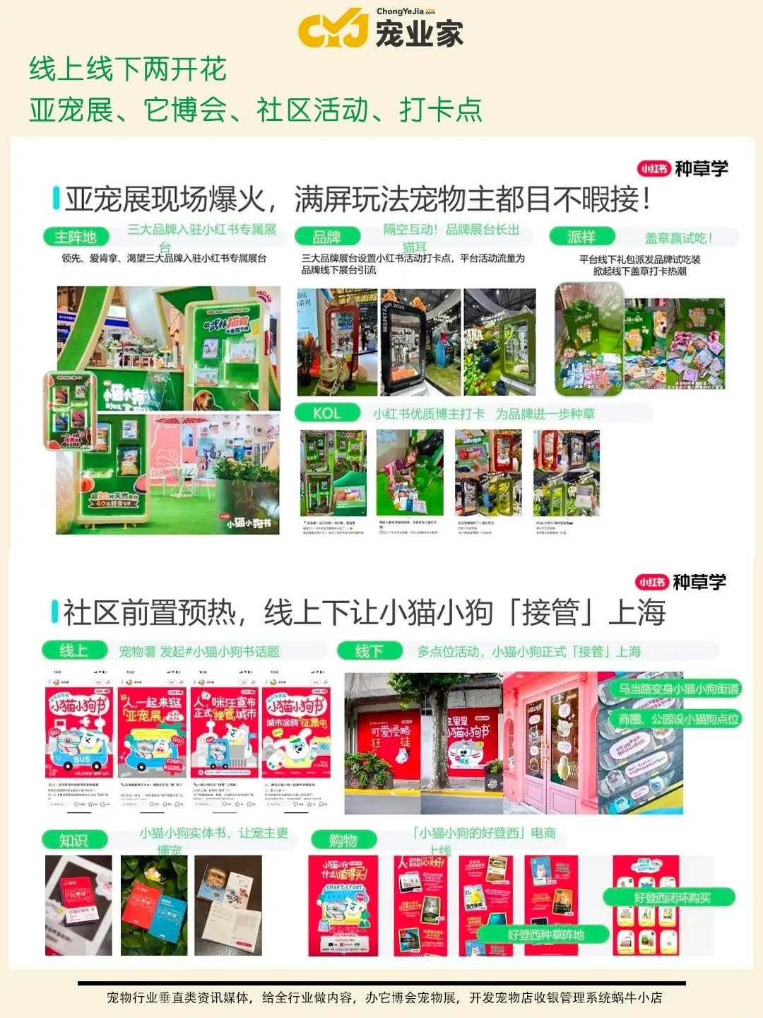 行业报告|小红书双11宠物行业品牌营销机会