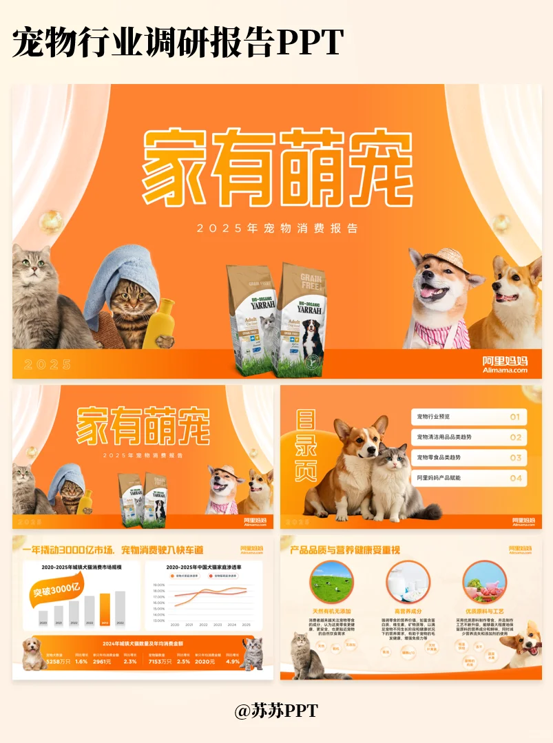 宠物行业调研报告PPT