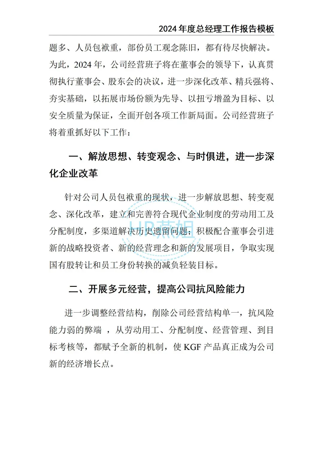 2024总经理工作总结报告