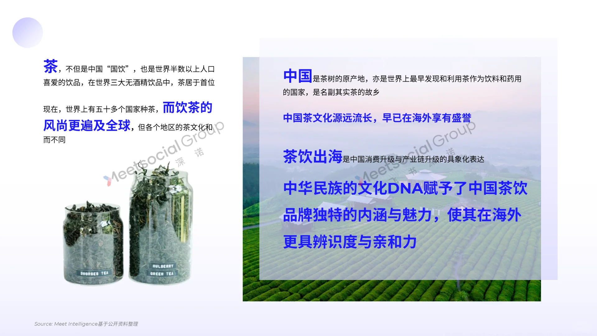 2025中国茶饮出海全景报告