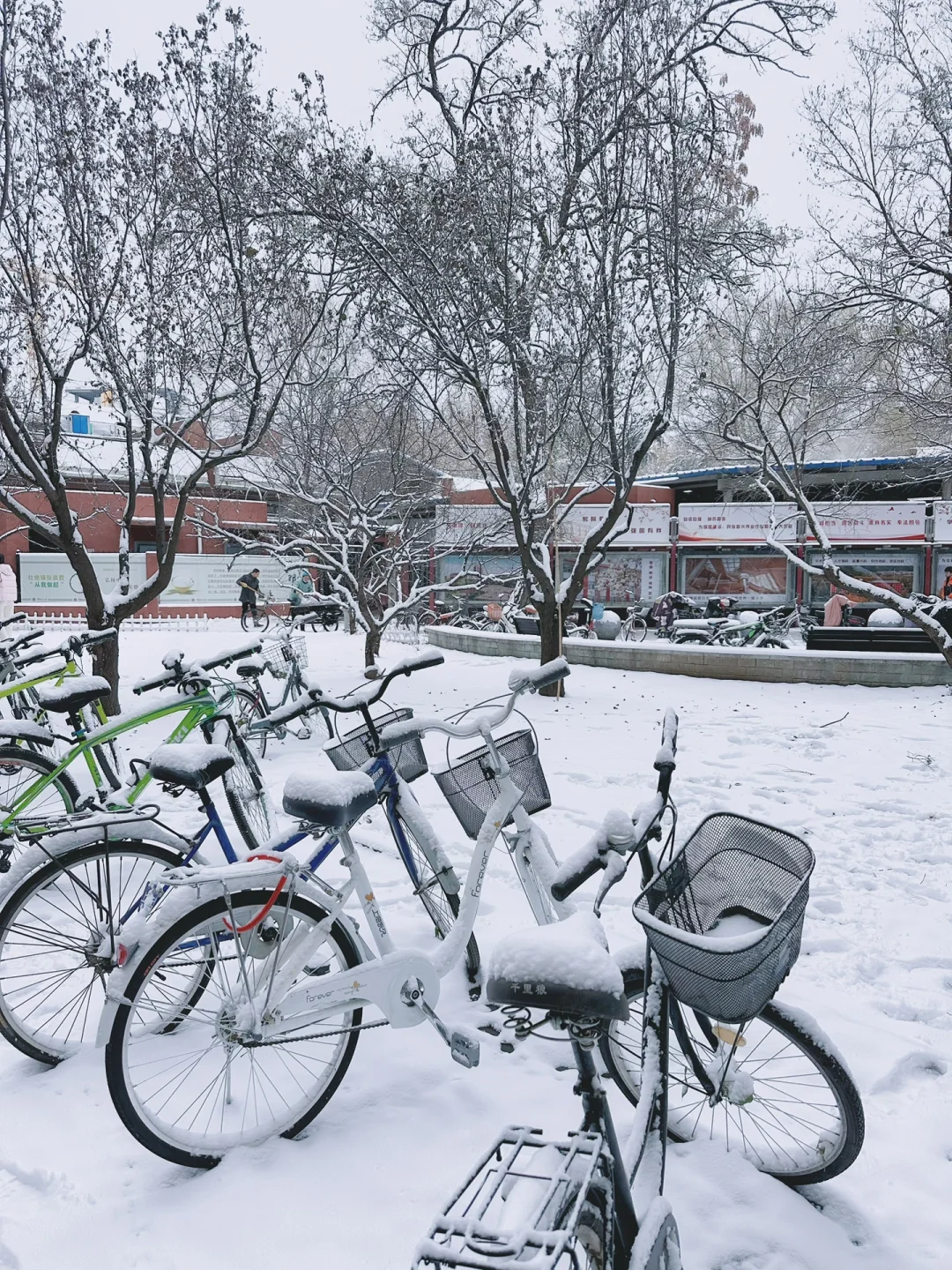 法大的第一场雪❄️