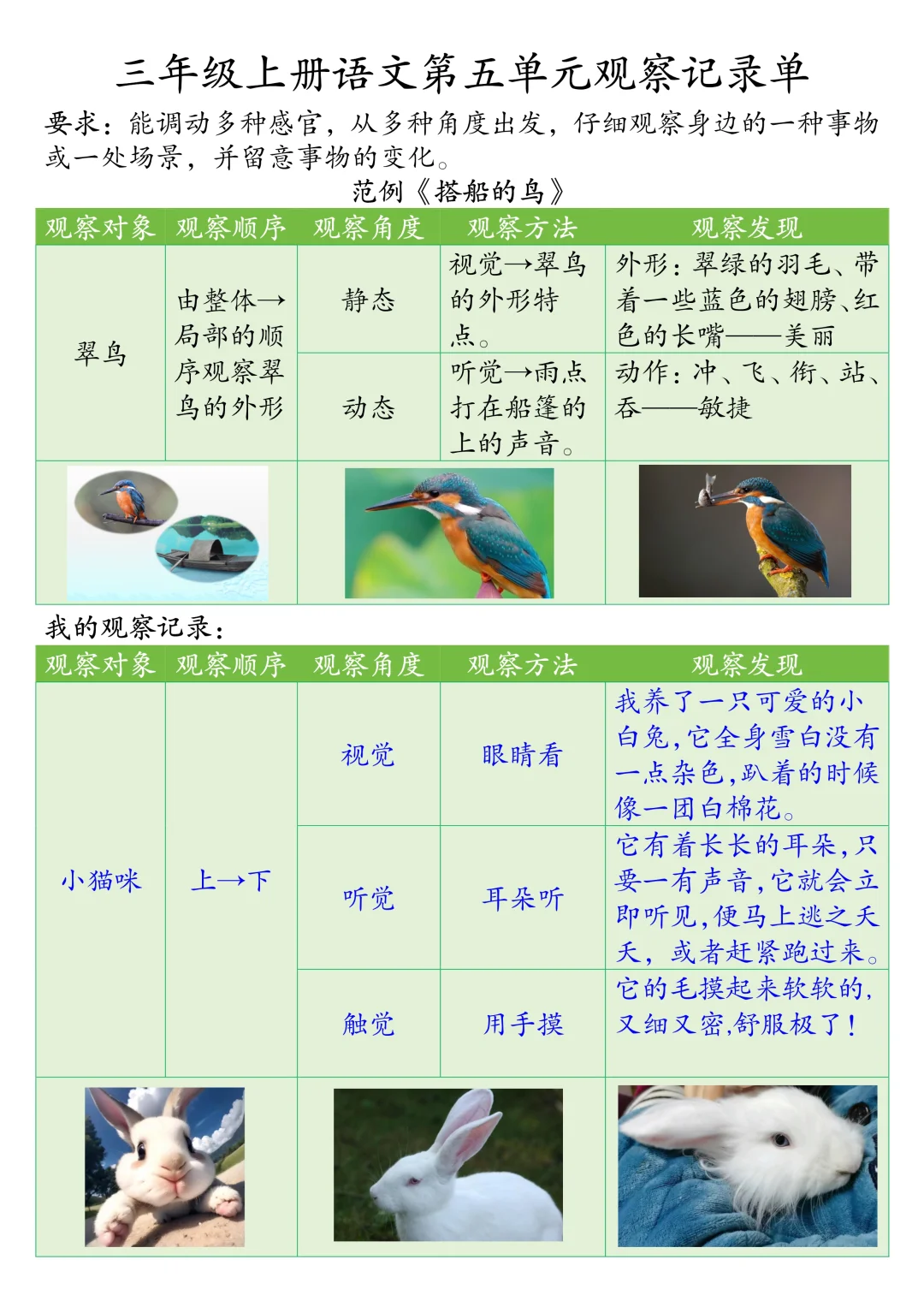 被问爆❗️三年级上册语文第五单元观察记录