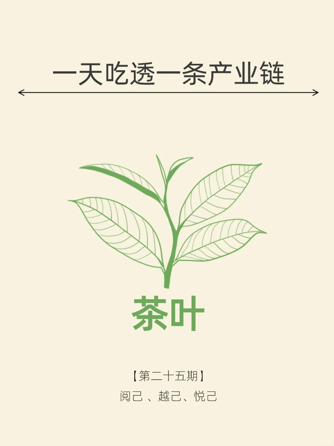 一天吃透一条产业链。NO.25 茶叶行业