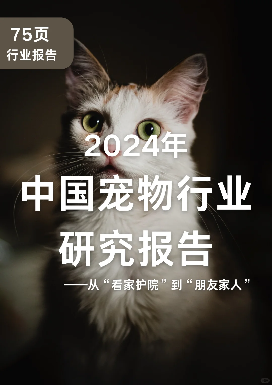 75页报告|2024年中国宠物行业研究报告