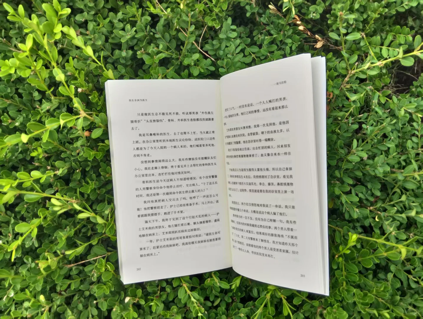 同一个星球,同一个心愿