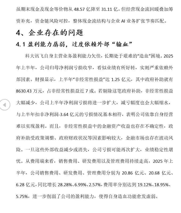 2020-2024科大讯飞财务分析报告word19页118