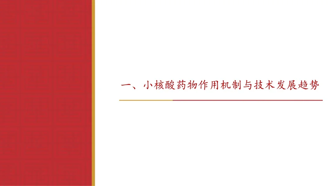 小核酸行业专题报告