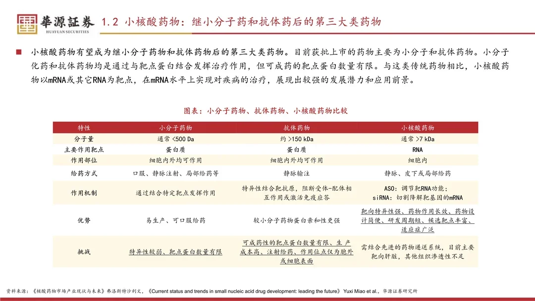 小核酸行业专题报告